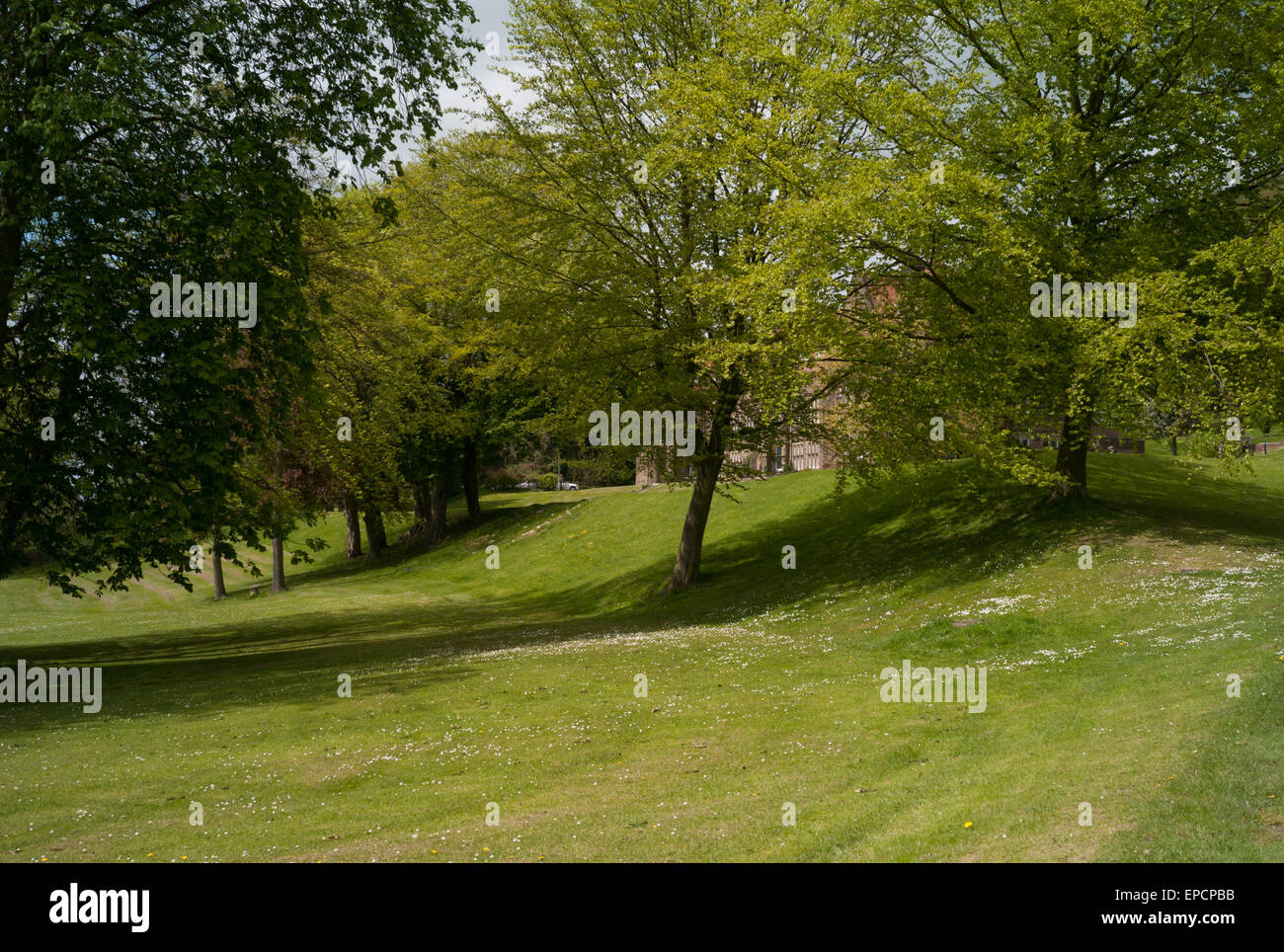 Bäume und Rasenflächen am Ampleforth College Stockfoto