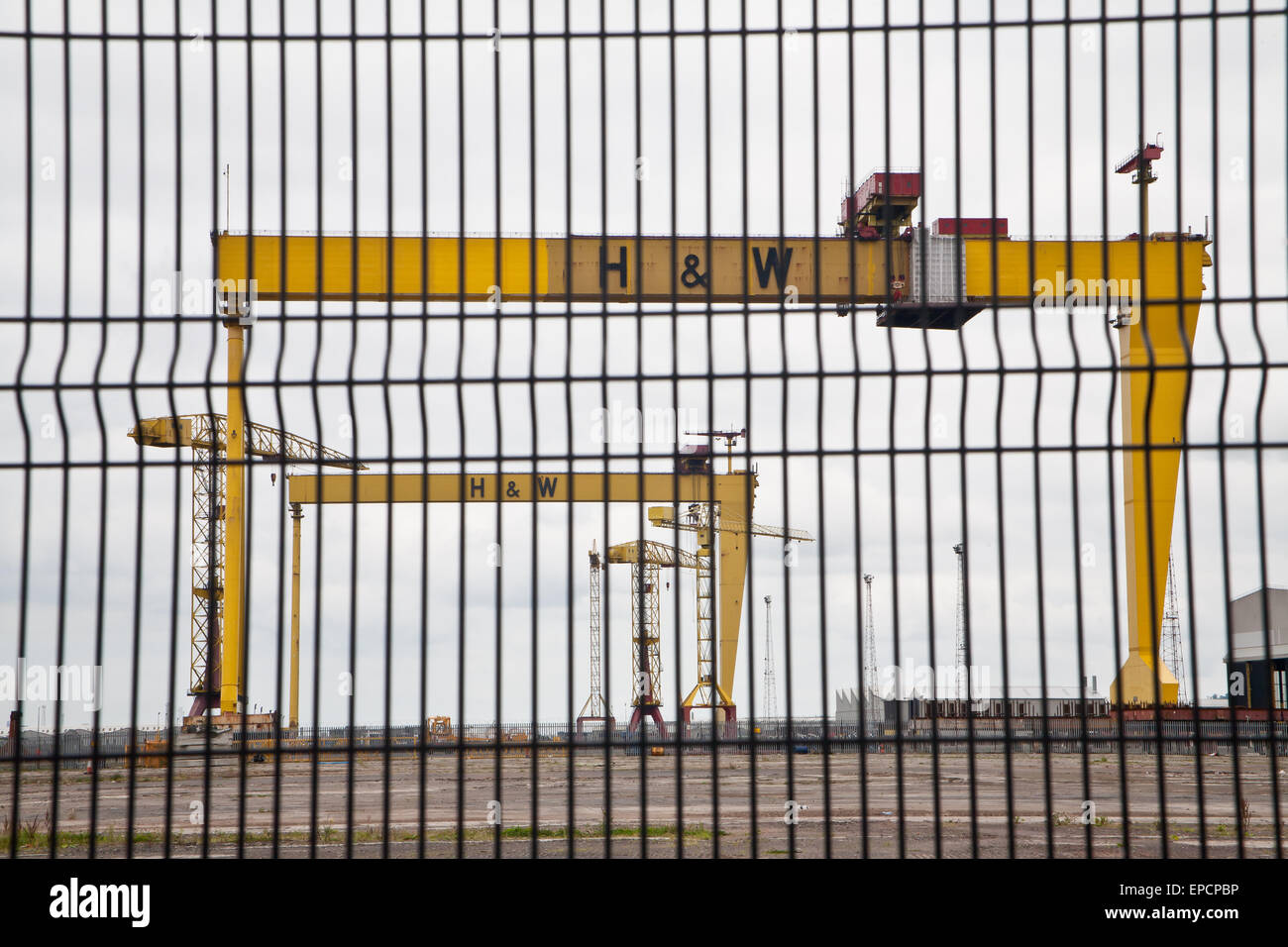 Blick durch Sicherheitszaun, Krane, Samson und Goliath in Harland und Wolff Werft, Belfast. Stockfoto