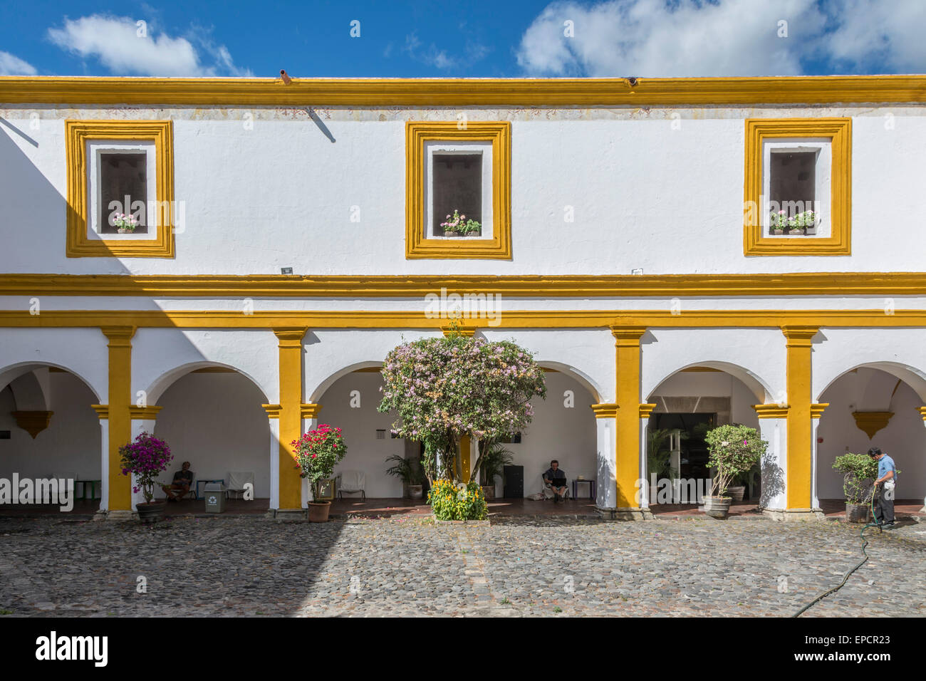 Die Compañía de Jesús Gebäude in Antigua Guatemala beherbergt die Bibliothek und Kulturzentrum. Stockfoto
