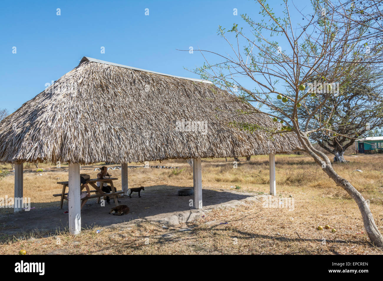Palm reetgedeckten Palapa in abgelegenen Bauerndorf im südlichen Guatemala Stockfoto