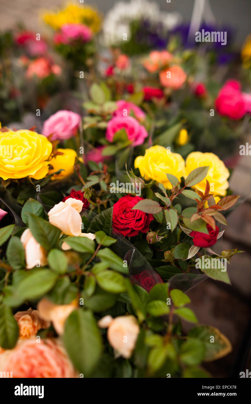 Schöner Blumenstrauß mit Rosen Stockfoto