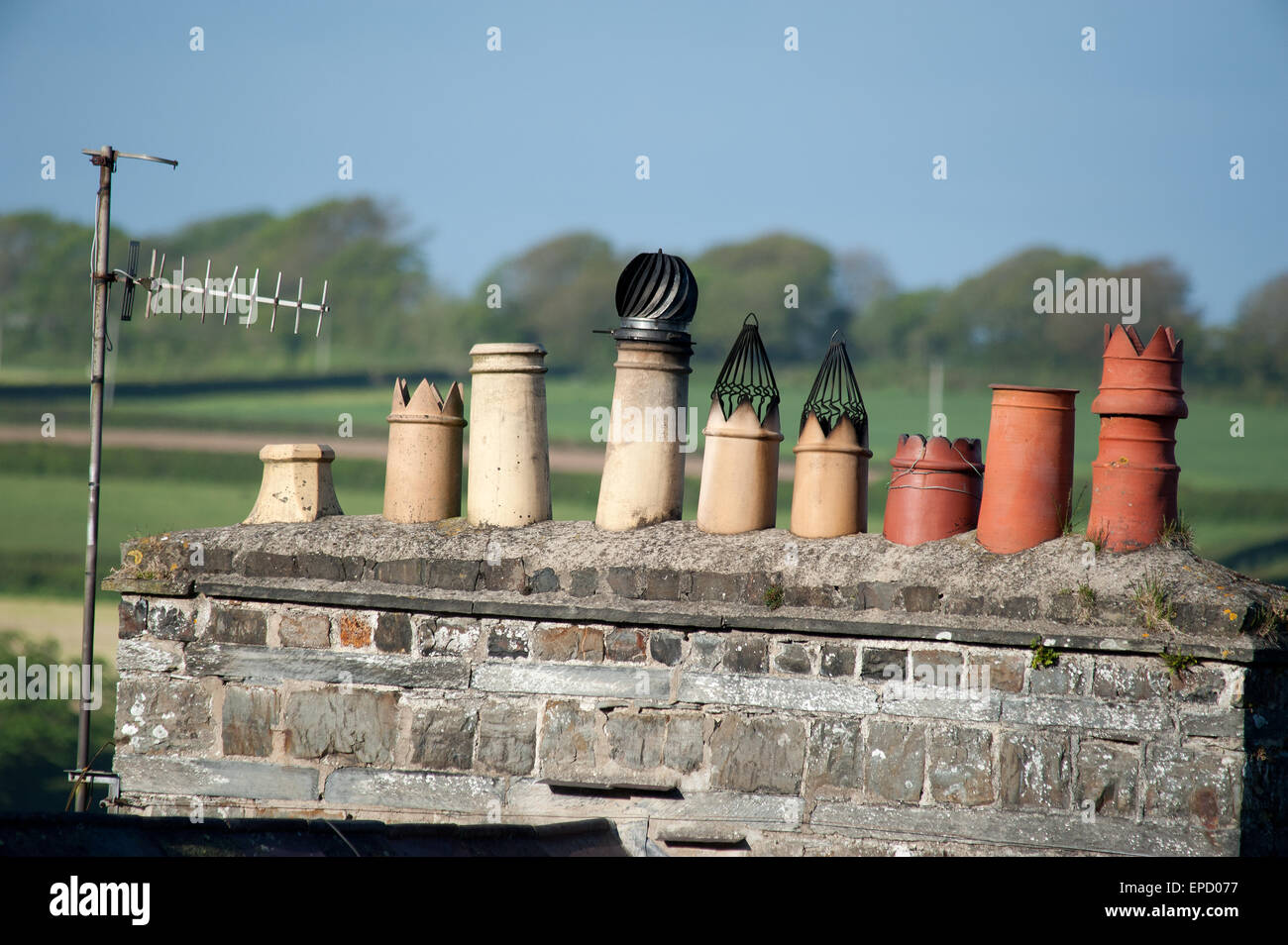 Reihe von Schornstein am Steinhaus, St. Dogmaels Wales Stockfoto