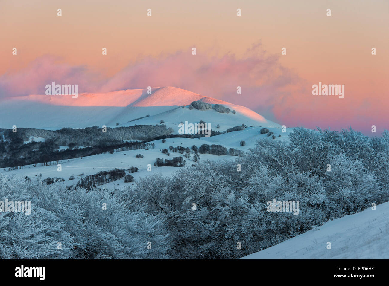 Berge und Fichten bedeckt durch Schnee bei Sonnenuntergang, Sibillini Berge NP, Umbrien, Italien Stockfoto