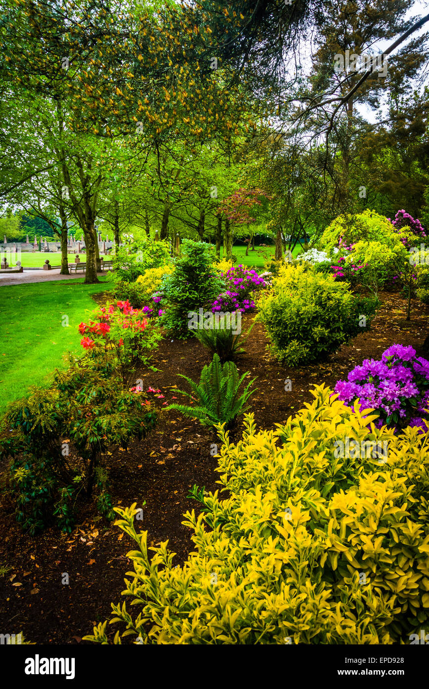 Gärten im Park der Innenstadt, in Bellevue, Washington. Stockfoto