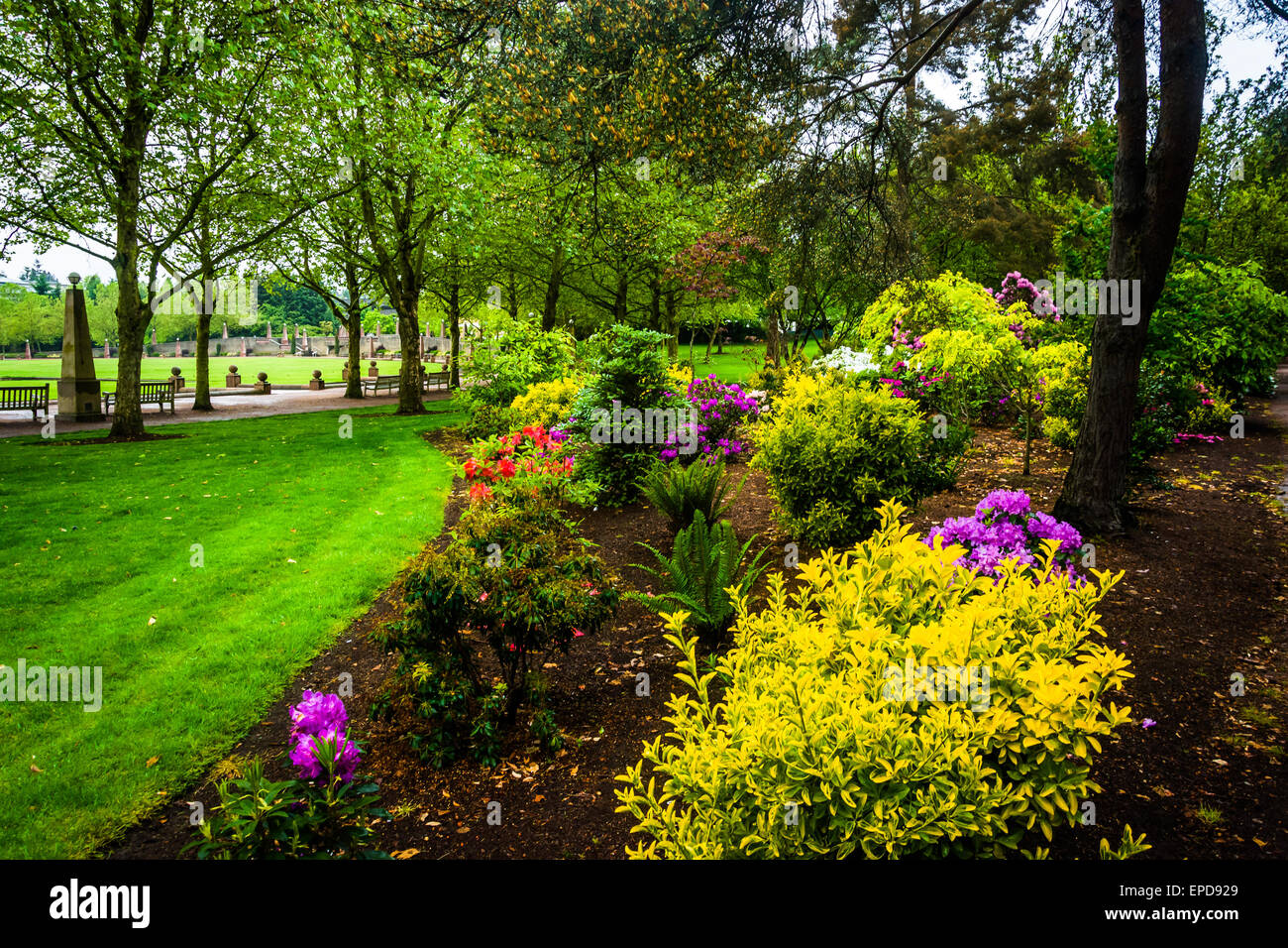 Gärten im Park der Innenstadt, in Bellevue, Washington. Stockfoto
