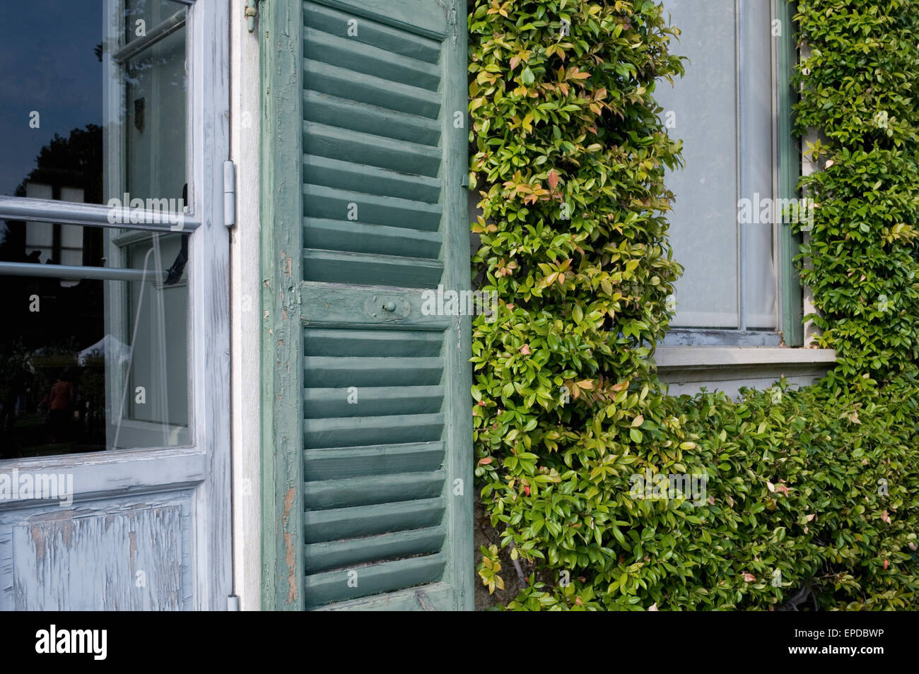 Fassade des Hauses mit Kletterpflanze, Italien Stockfoto