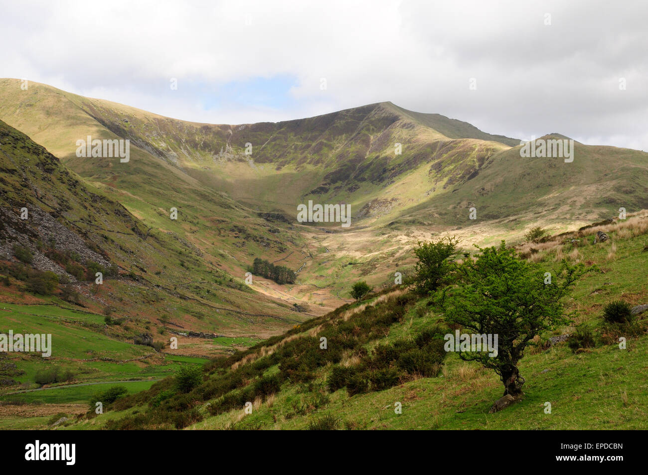 CWM Wimpel in Richtung Wales Cymru Nantlle Ridge Llanfihangel Snowdonia-Nationalpark Stockfoto