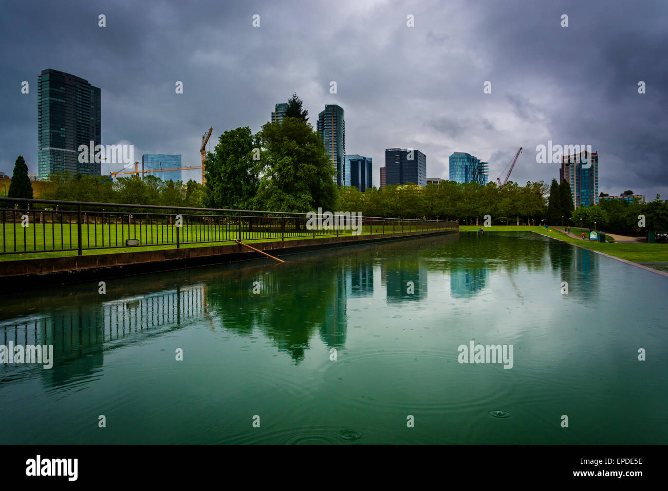 Die Skyline reflektiert in einem Teich im Park der Innenstadt, in Bellevue, Washington. Stockfoto