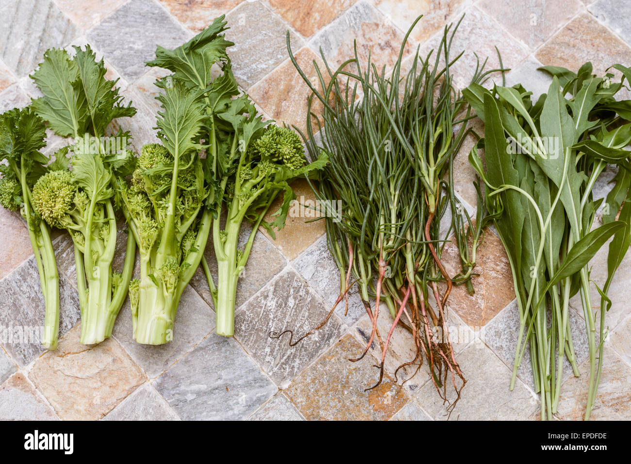 Frisches grünes Gemüse (Brassica Rapa, entnimmt Sativa, Salsola soda Stockfoto