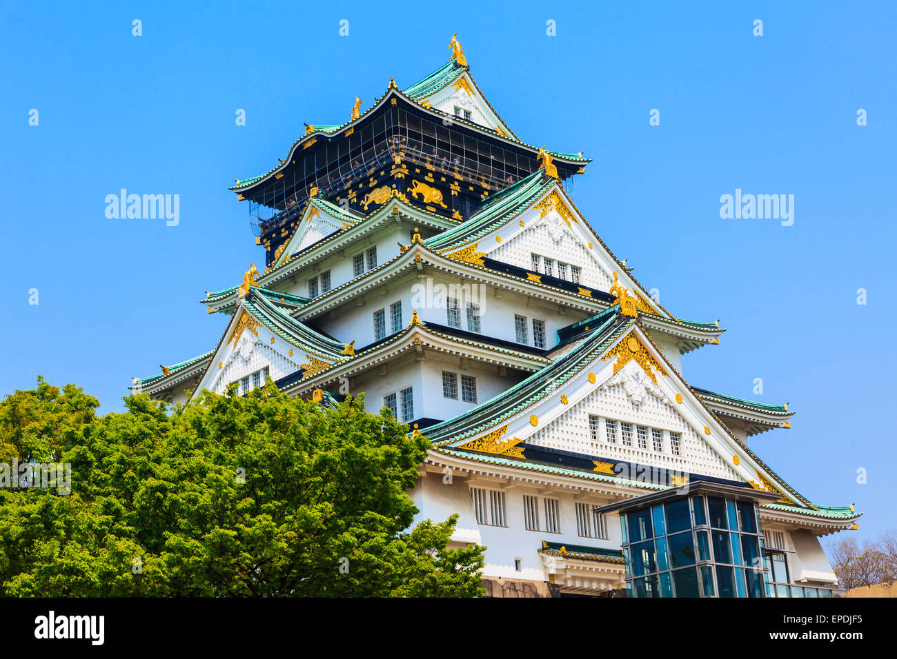 Burg von Osaka in Osaka, Japan. Stockfoto