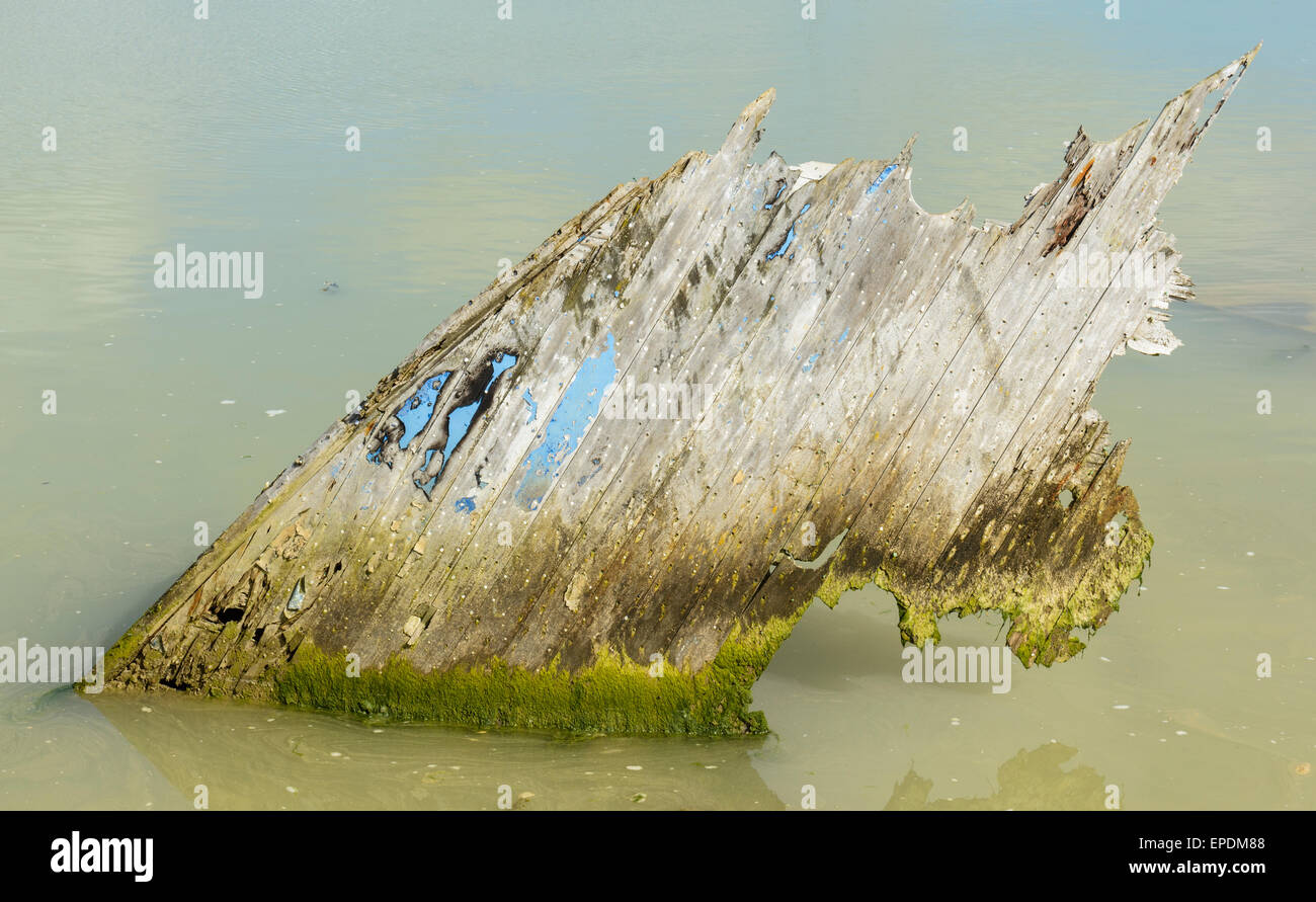 Verrottendem Holz von einem zerstörten Boot ragte aus dem Wasser. Stockfoto