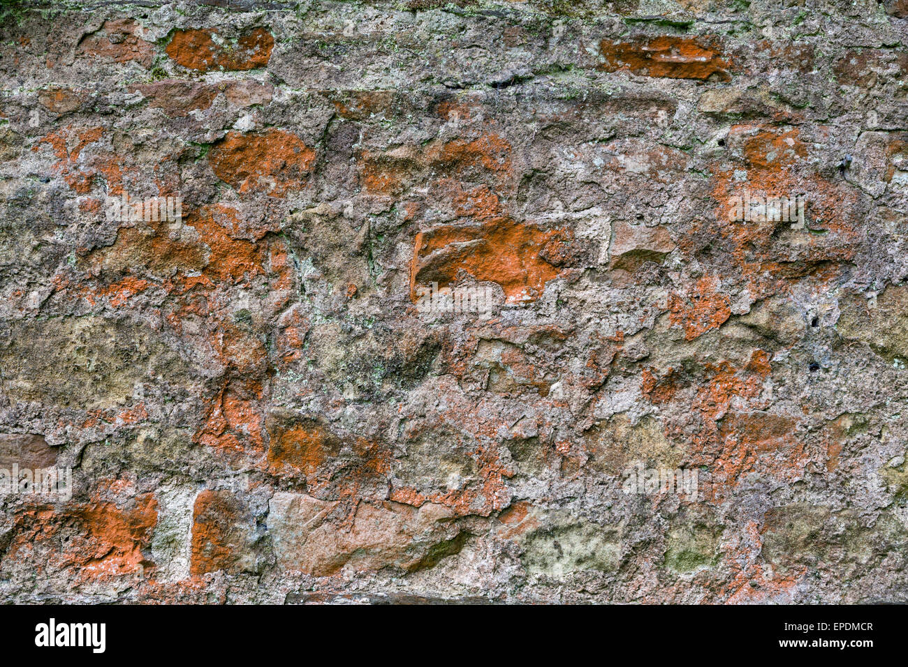 Großbritannien, England, Yorkshire.  Altes Mauerwerk in der Wand ein altes Landhaus in Yorkshire. Stockfoto