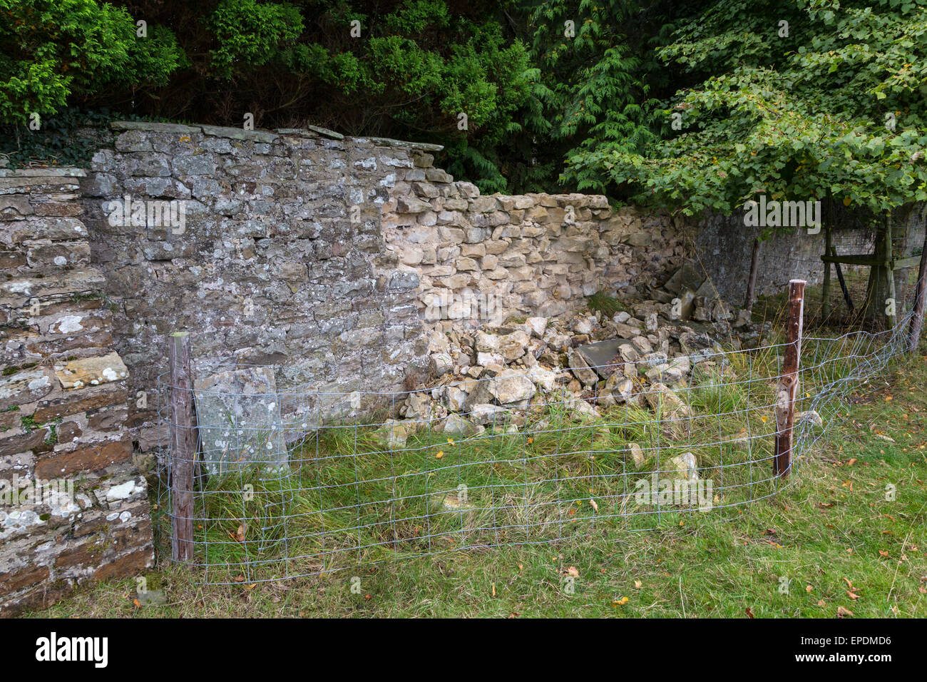 Großbritannien, England, Yorkshire.  Denkmalpflege.  Zusammenbruch einer Steinmauer um ein Yorkshire-Landhaus. Stockfoto