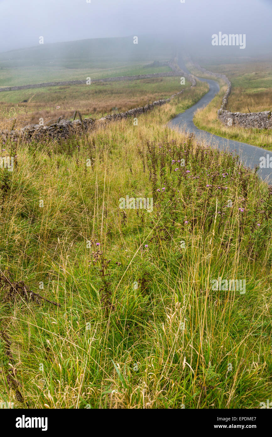 UK, England.  Yorkshire Dales im Herbst Nebel Fahrbahn. Stockfoto