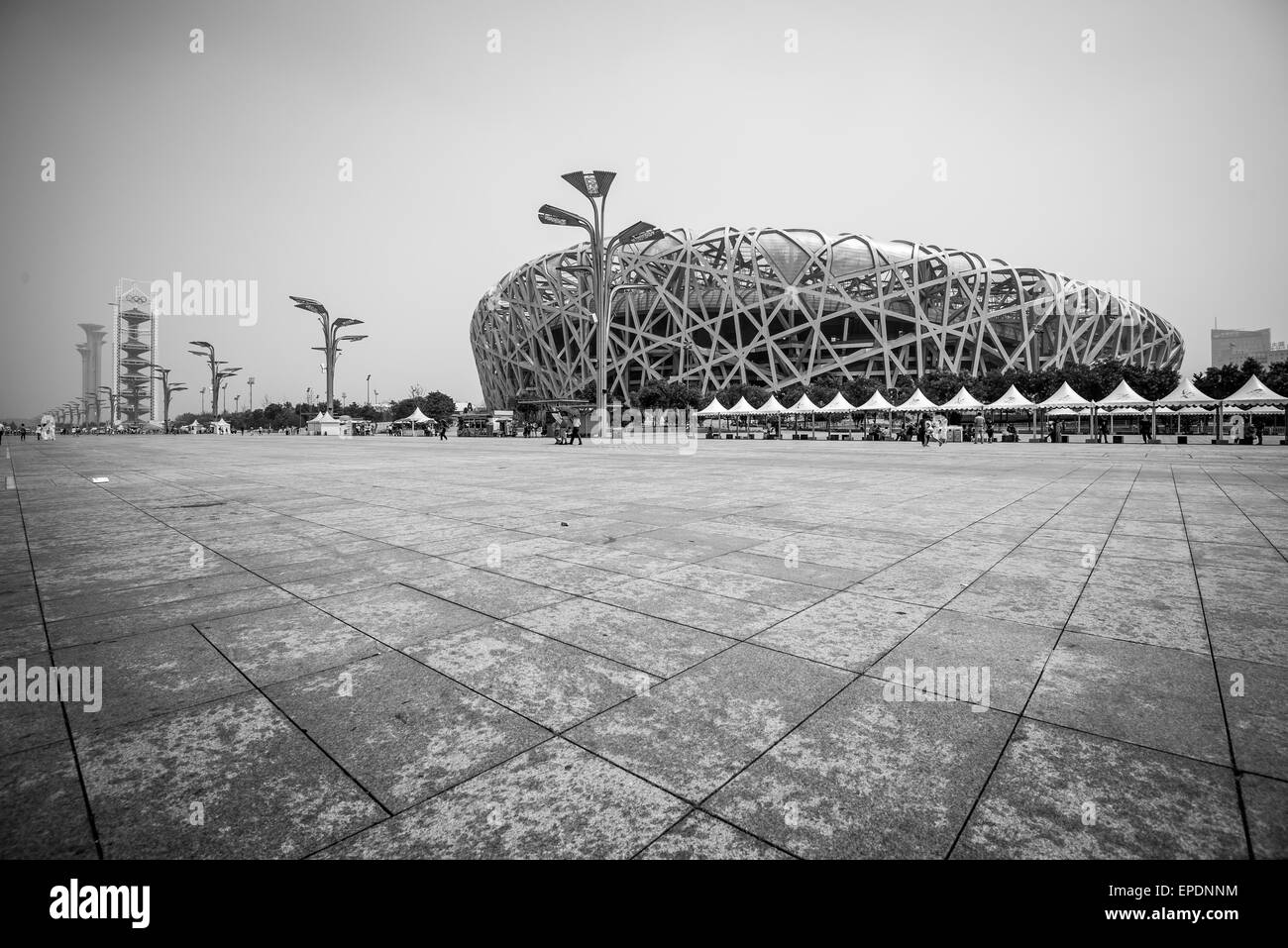 Vögel nisten Olympiastadion in Peking, China Stockfoto
