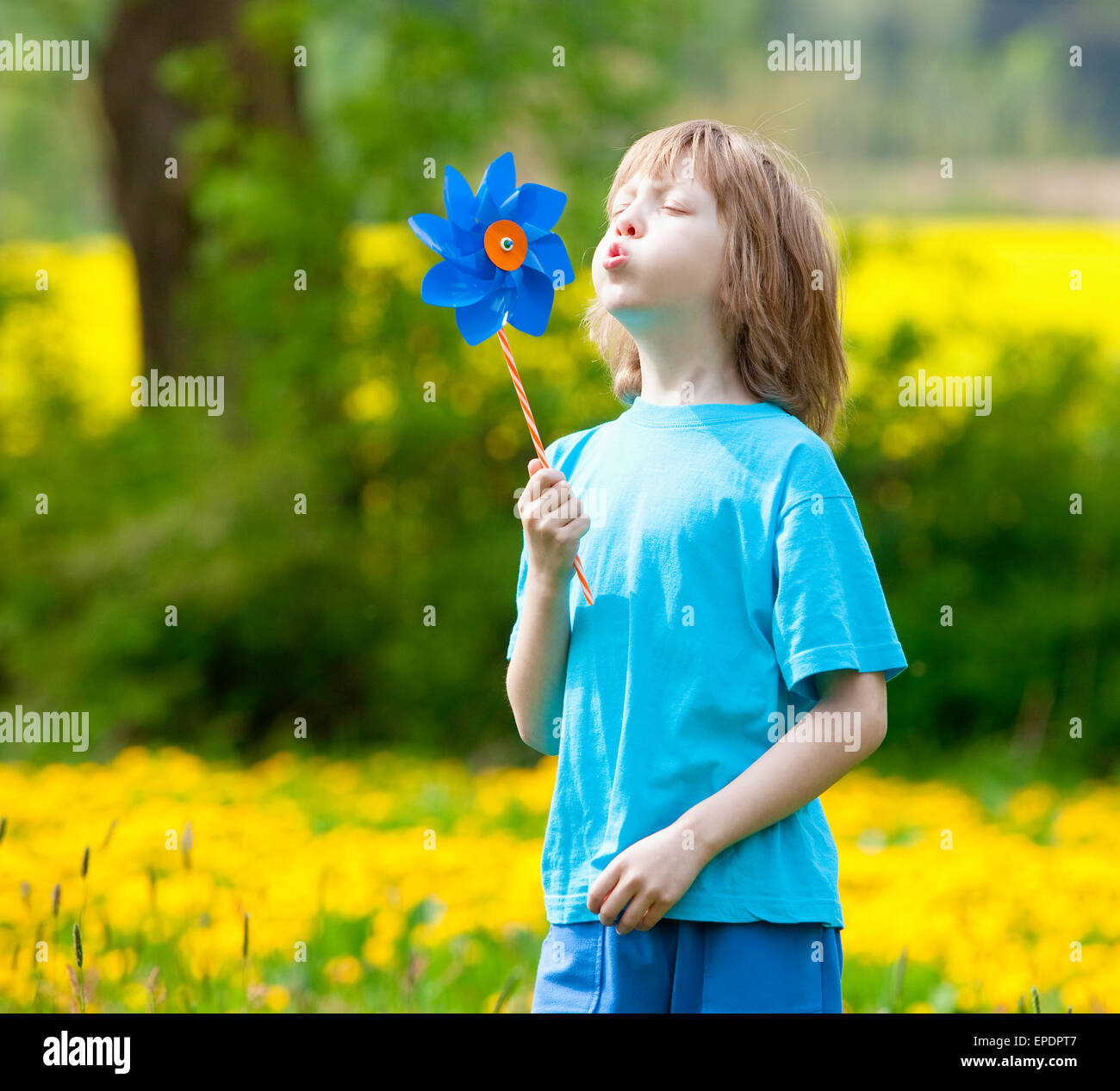 Junge mit Windrad auf einer Wiese von Löwenzahn Stockfoto