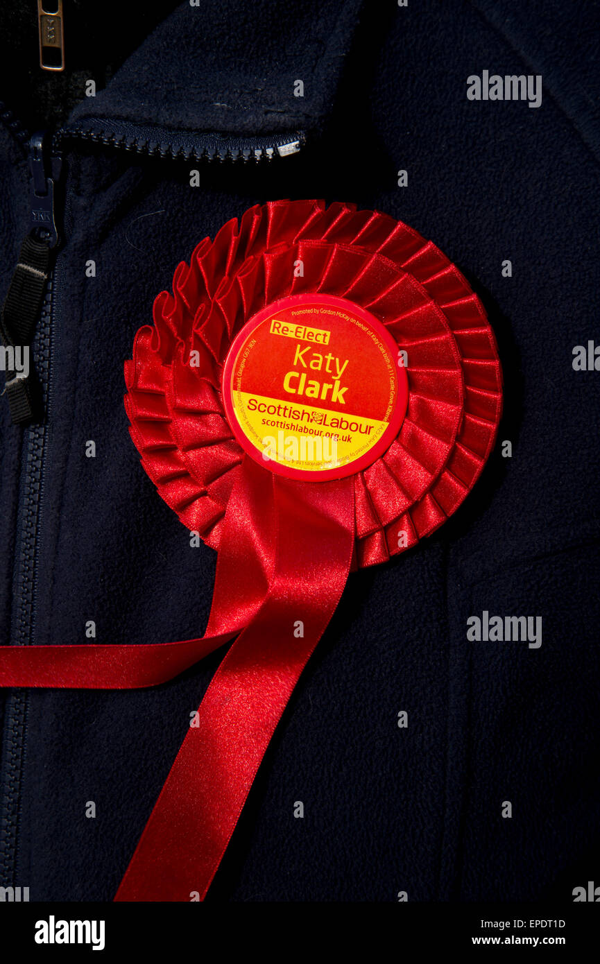 Schottland, West Kilbride. Arbeitspartei Rosette... die Sitzung MP, Katy Clark, unterlag der SNP-Kandidat. Stockfoto