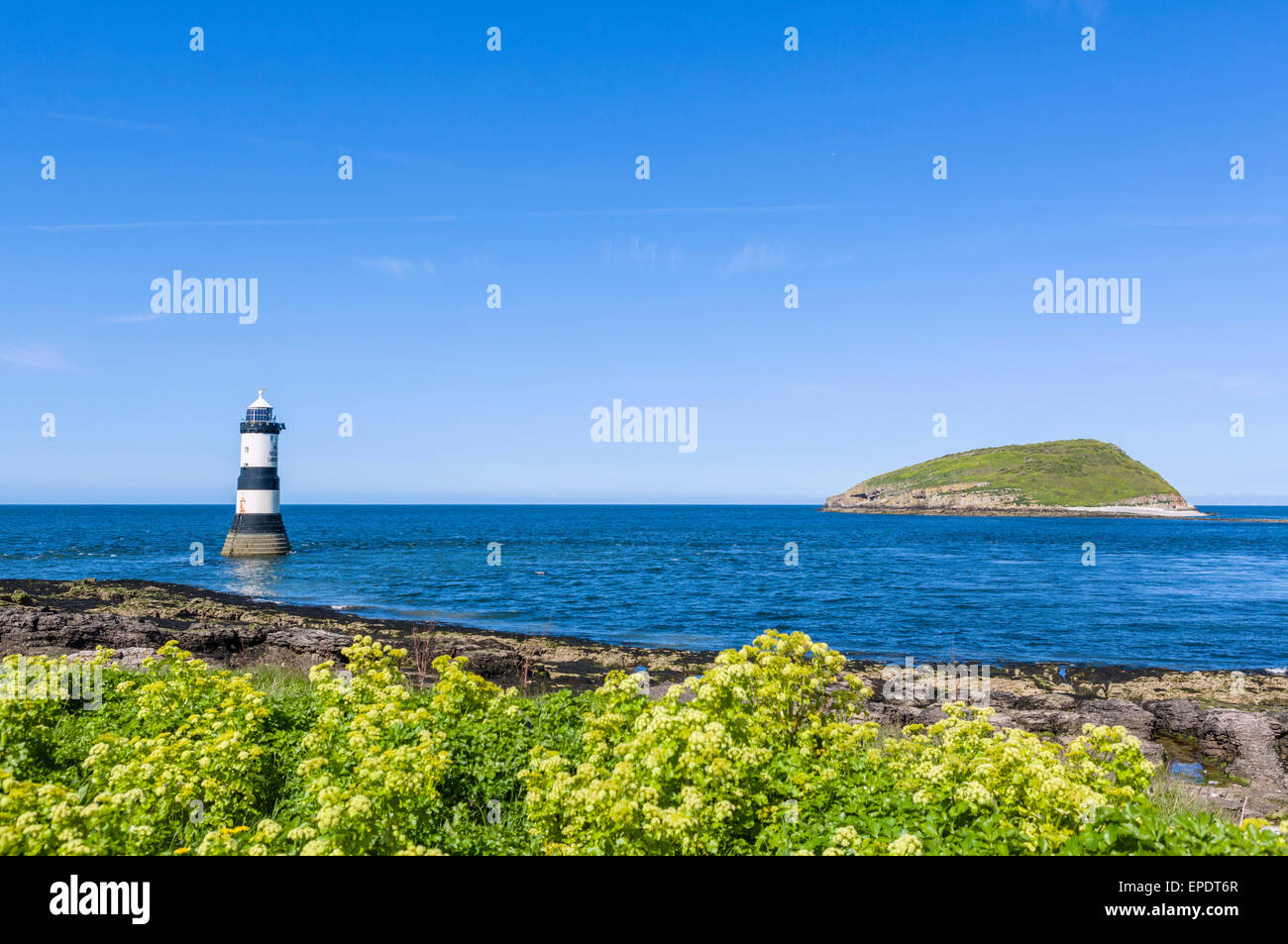 Leuchtturm und Puffin Insel von Anglesey, Wales, UK, Penmon Punkt Stockfoto