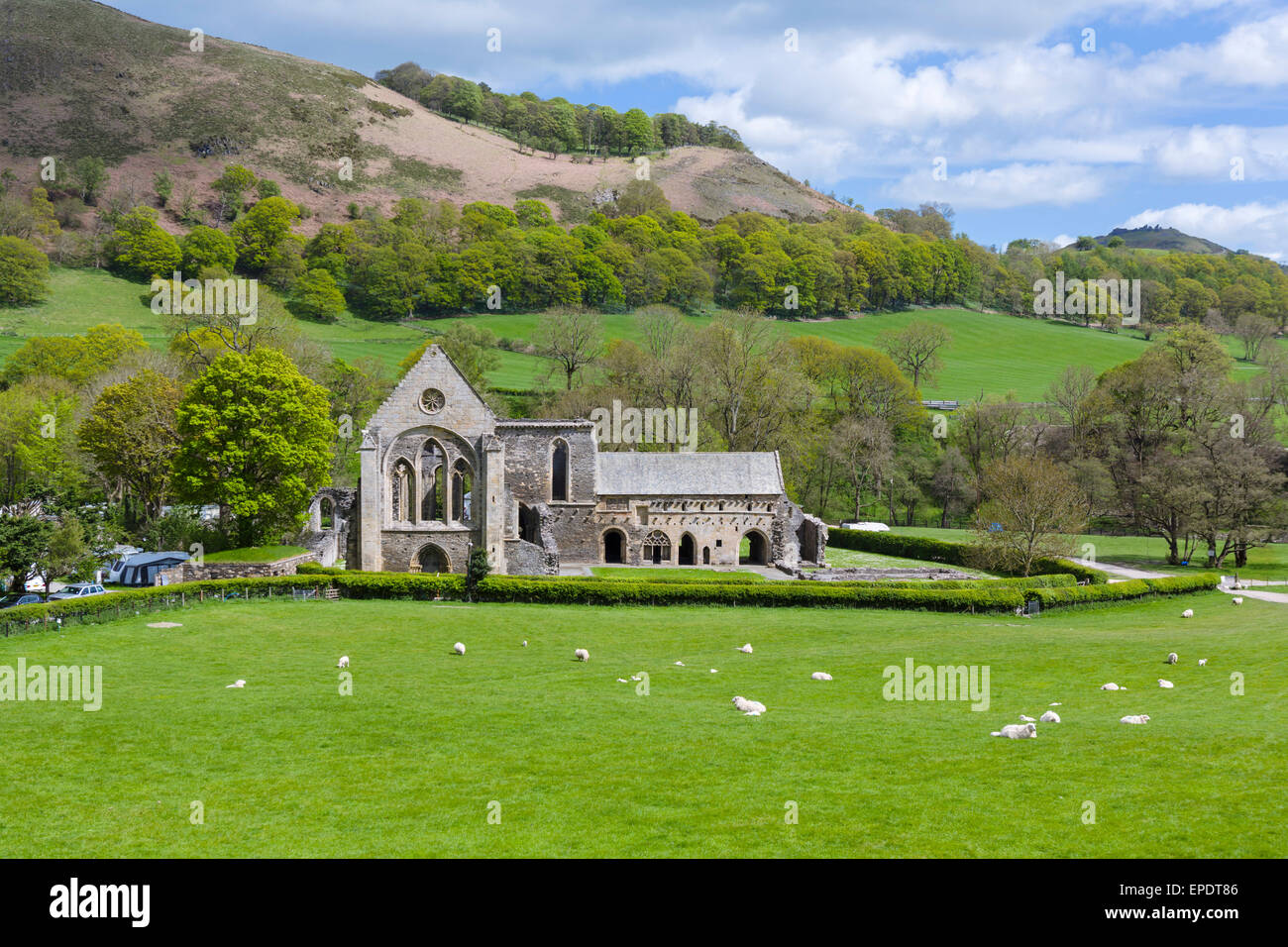 Valle Crucis Abbey, in der Nähe von Llangollen, Denbighshire, Wales, UK Stockfoto