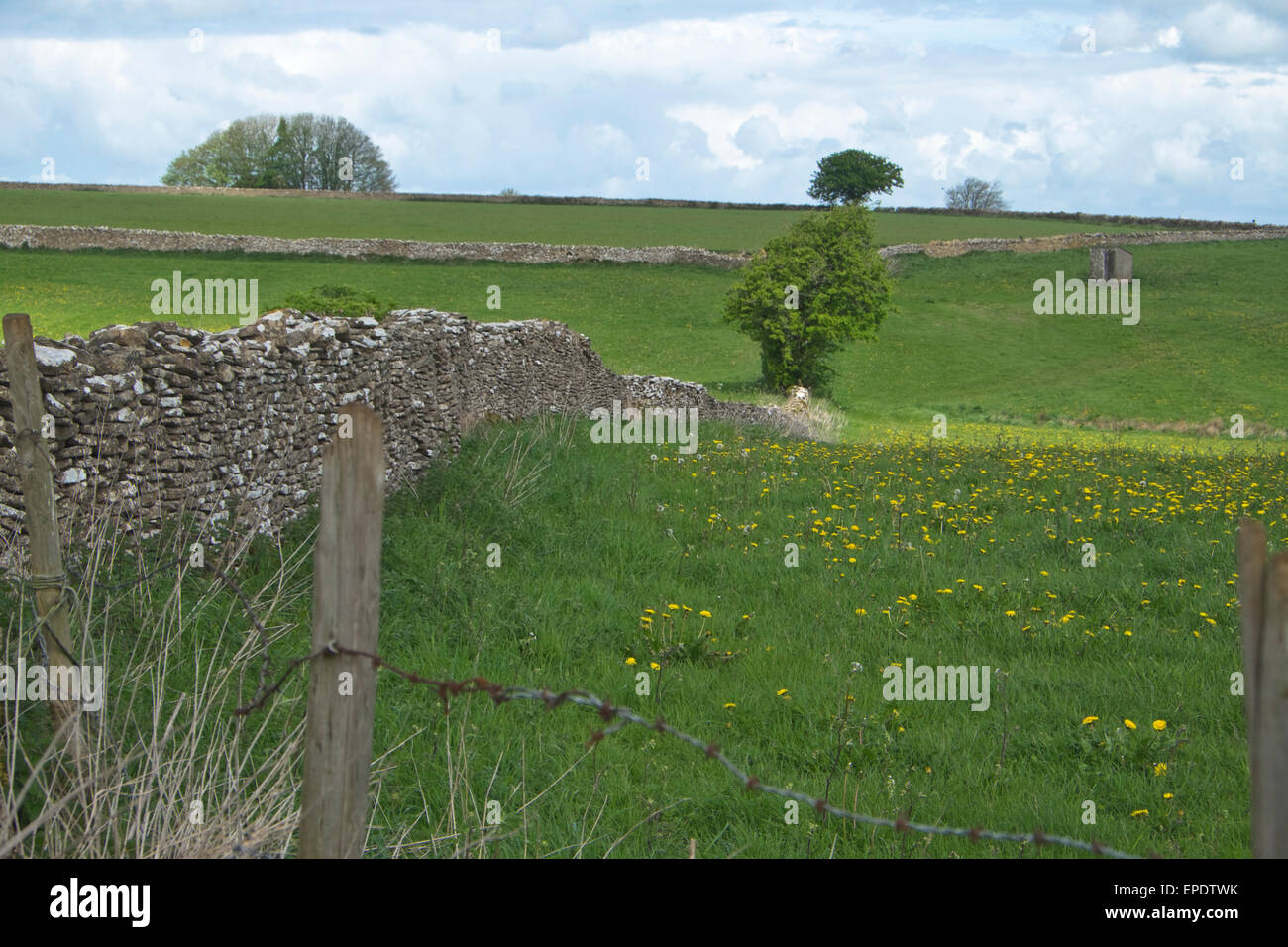 Die englische Landschaft Gloucestershire, England. Blick von der Middledown Straße in der Nähe von Marshfield Wiltshire. Die Cotswolds Stockfoto