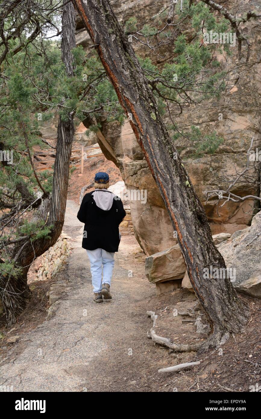 Senioren Wandern Mesa Loop Trail el Morro National Monument New Mexiko - USA Stockfoto