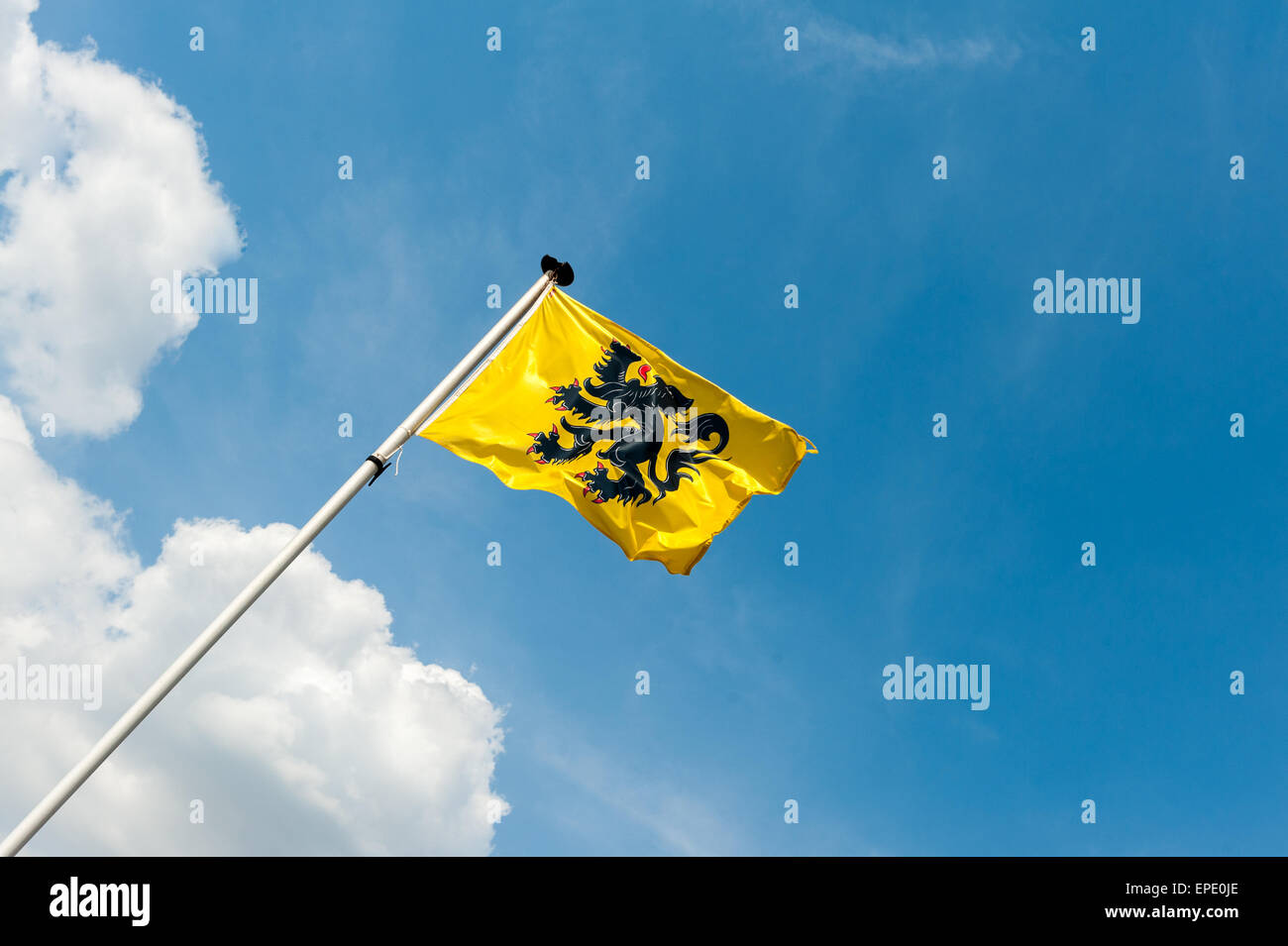Flagge von Flandern - Vlaamse Leeuw Stockfoto