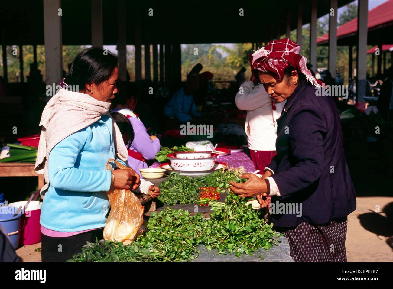 Laos, Luang Nam Tha Provinz, Muang Sing, Markt Stockfoto