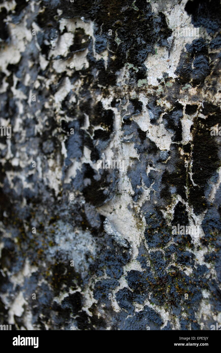 Abblätternde Farbe an der Wand in den Gärten des Kaisers Tu Duc in Hue, Vietnam Stockfoto