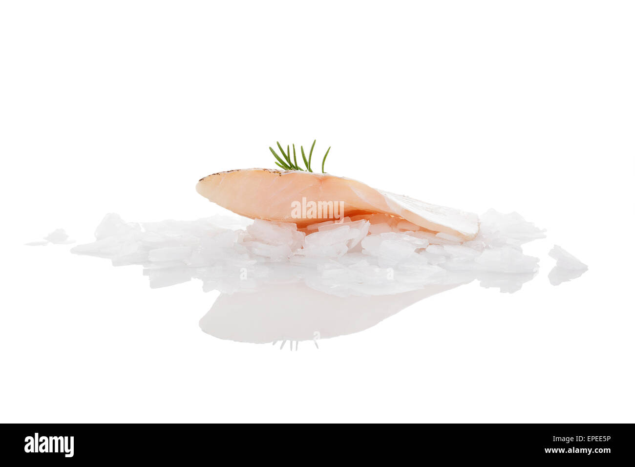 Luxuriöse Fischfilet. Kulinarischen Meeresfrüchte essen. Rohe Barsch-Steak mit Rosmarin-Pflanze isoliert auf weißem Hintergrund. Stockfoto