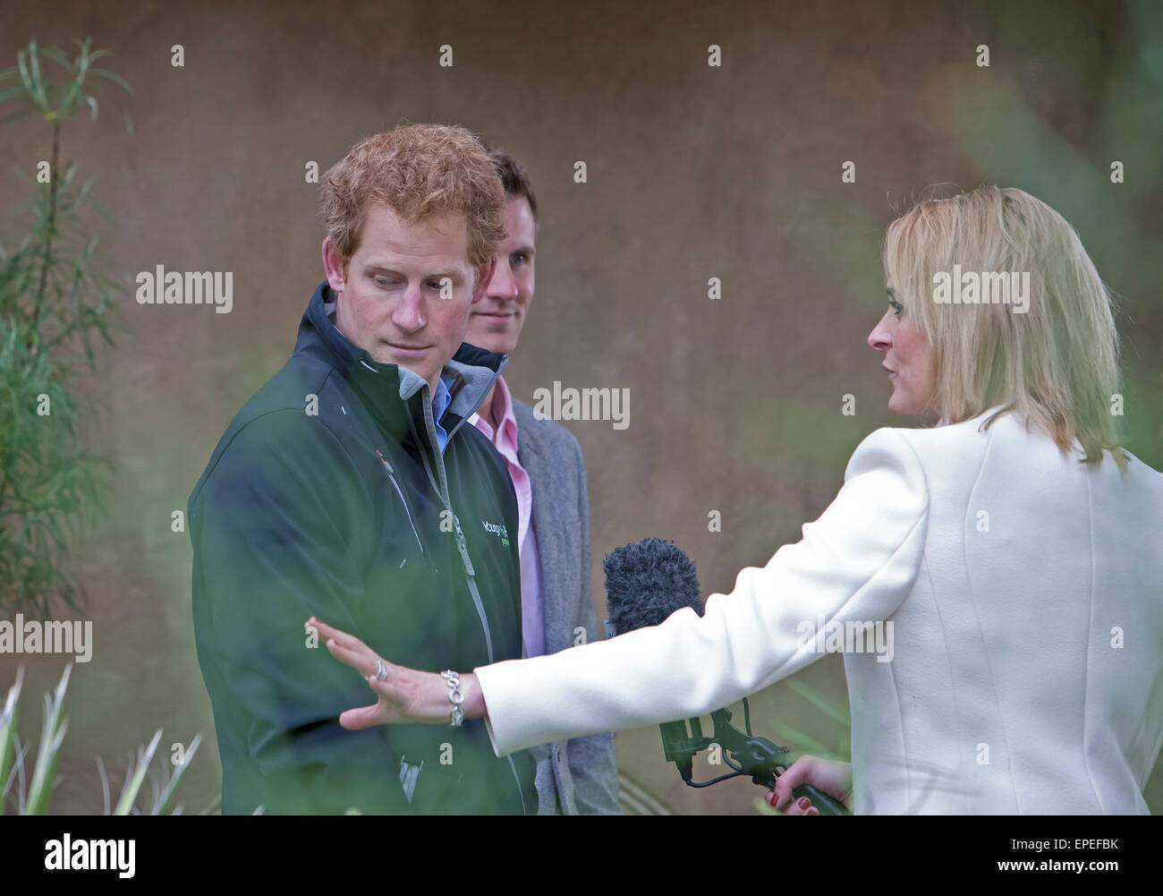 Prinz Harry besucht RHS Chelsea Flower Show 2015 Stockfoto