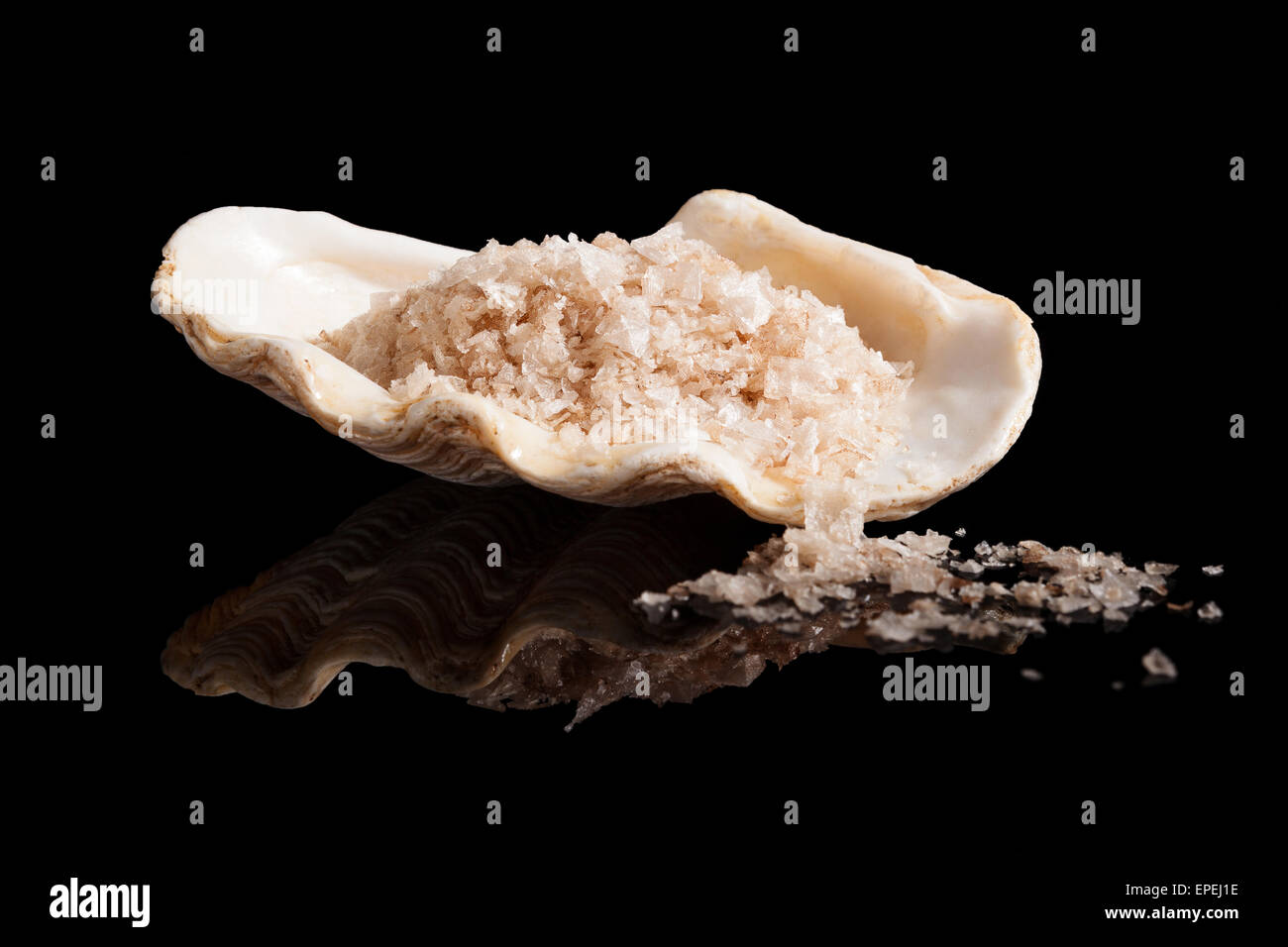 Himalaya Salzkristalle in schönen Muschel auf schwarzem Hintergrund isoliert. Stockfoto