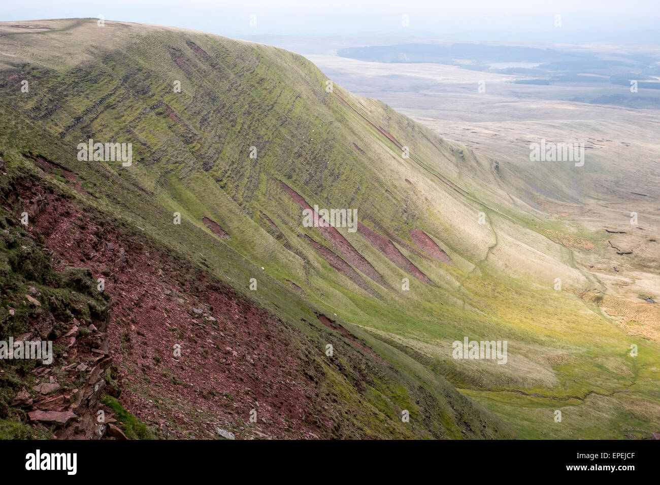 Steile Hänge, mit weidenden Schafen im Black Mountain Bereich der Brecon Beacons. Stockfoto