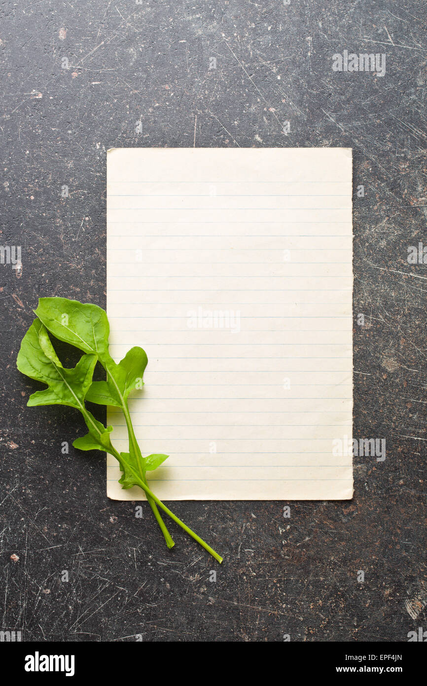 der Rucola Blätter mit leerem Papier Stockfoto