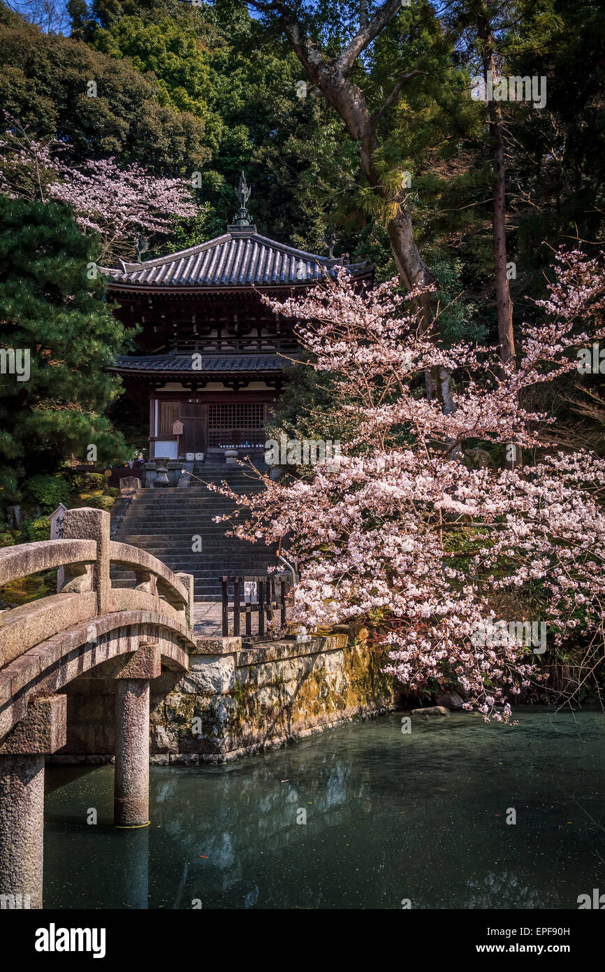 Japanische Tempelgarten in Kyoto Stockfoto