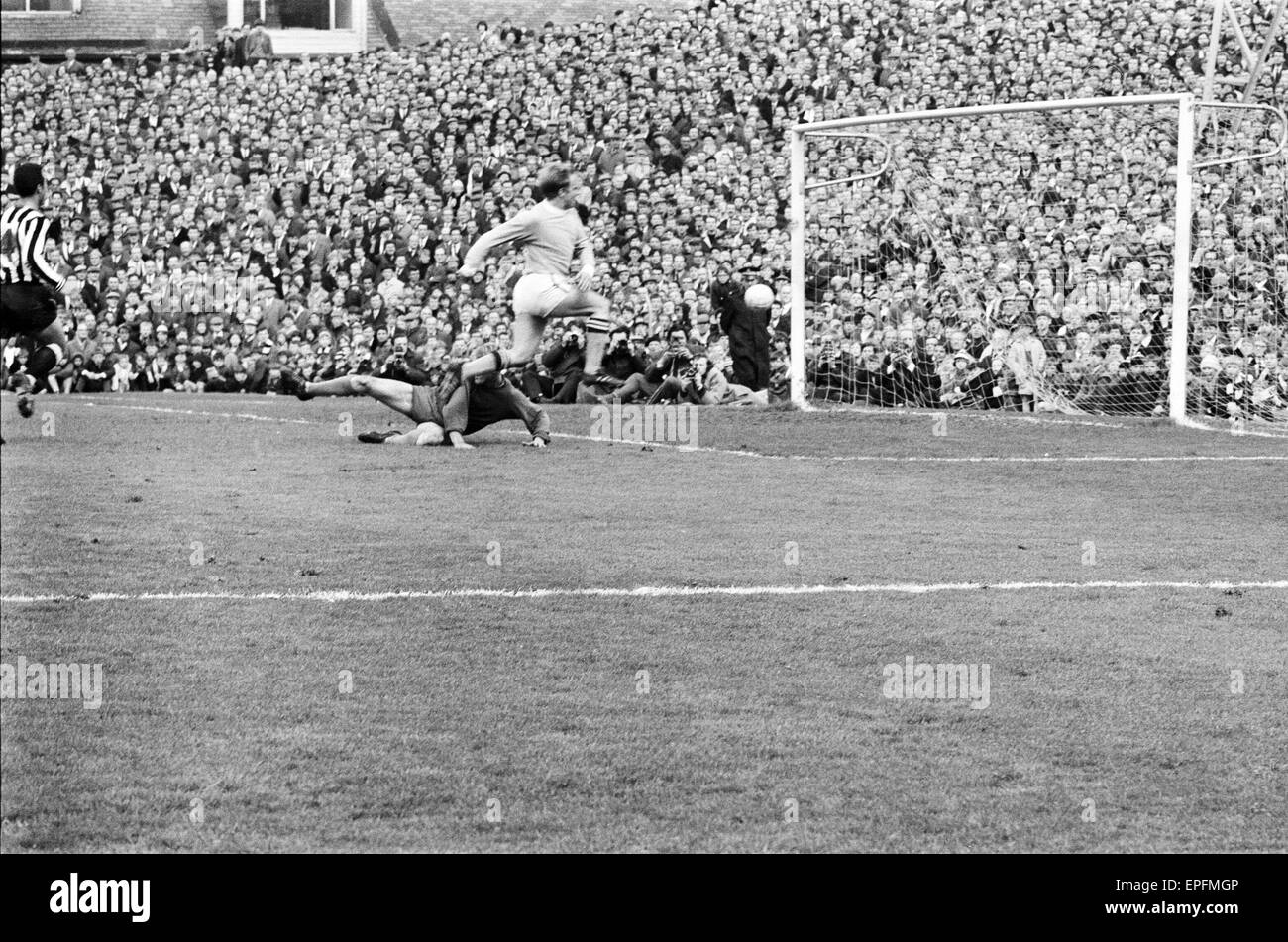 Newcastle United gegen Manchester City 11. Mai 1968 ein Ligaspiel Division am St James Park Francis Lee Partituren Ziel Final Score Newcastle 3 Manchester City 4 Stockfoto