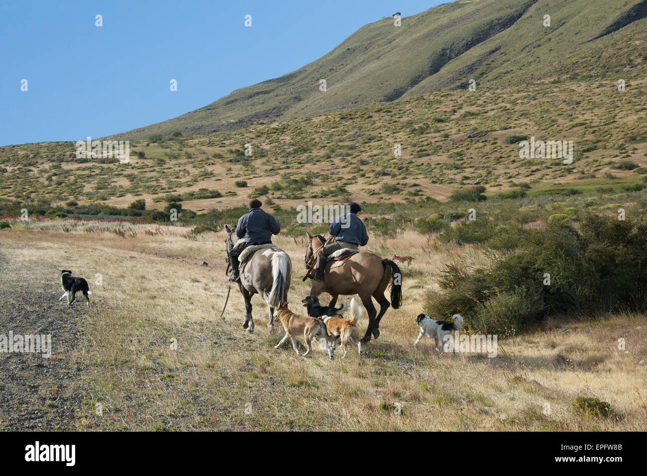 Zwei Gauchos auf dem Pferderücken mit Hunden Patagonien Argentinien Stockfoto