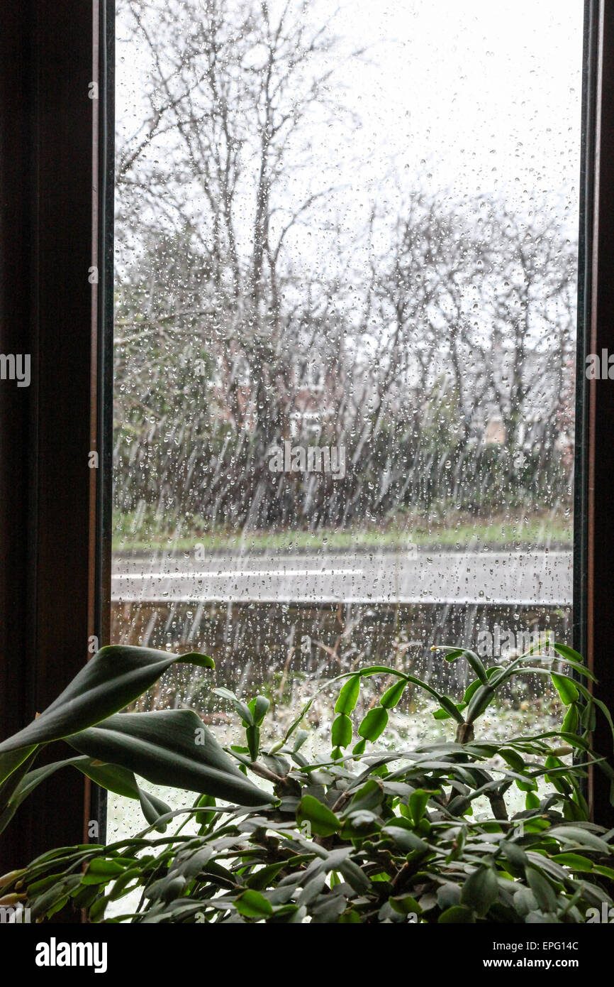 Regen Sie auf einem Fenster mit Blick durch das Fenster Stockfoto