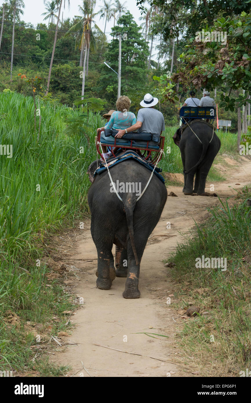 Thailand, Insel Koh Samui, Ko Samui. Typischer Tourist Elefantenritt im Dschungel. Stockfoto