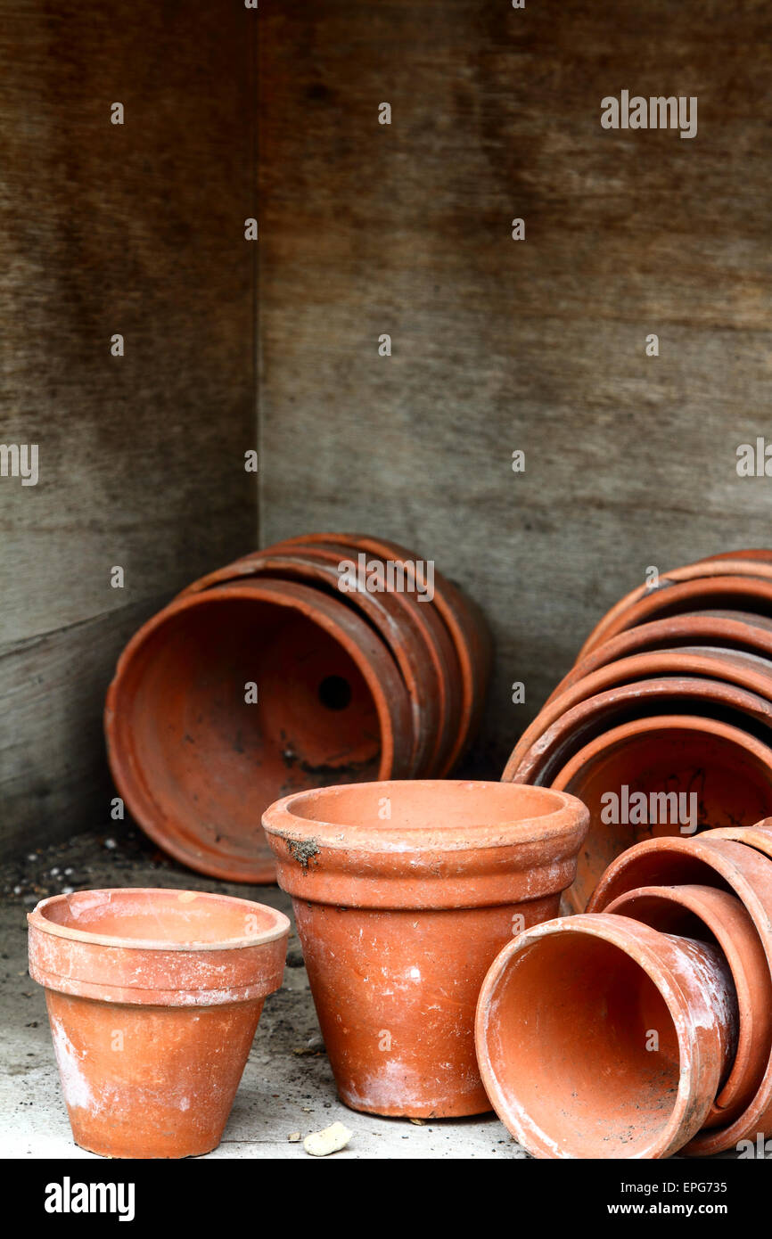 Terrakotta Blumentöpfe in einem Potting shed Stockfoto