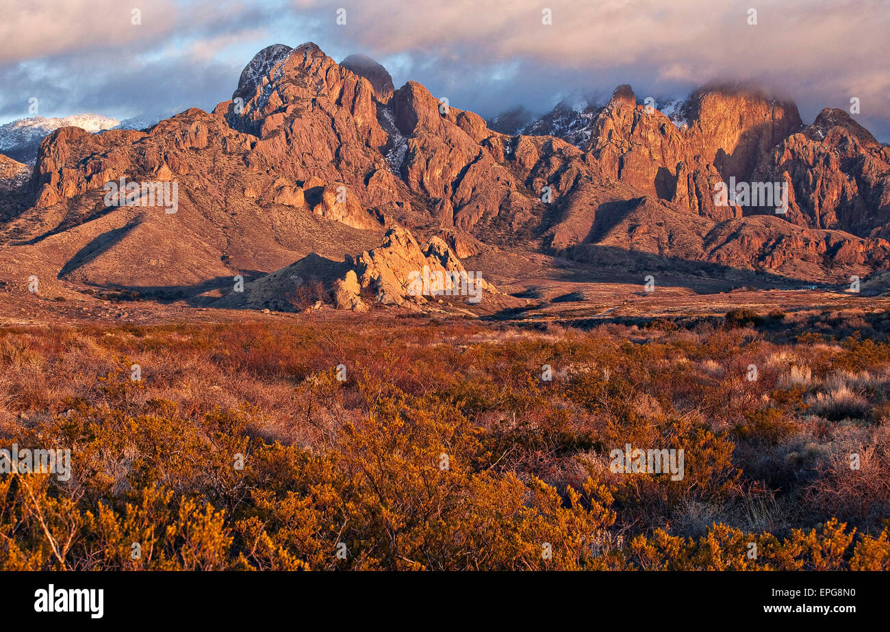 Das Organ Mountains Wildnis Untersuchungsgebiet in Süden-zentralem New Mexiko in der Nähe von Las Cruces. Stockfoto