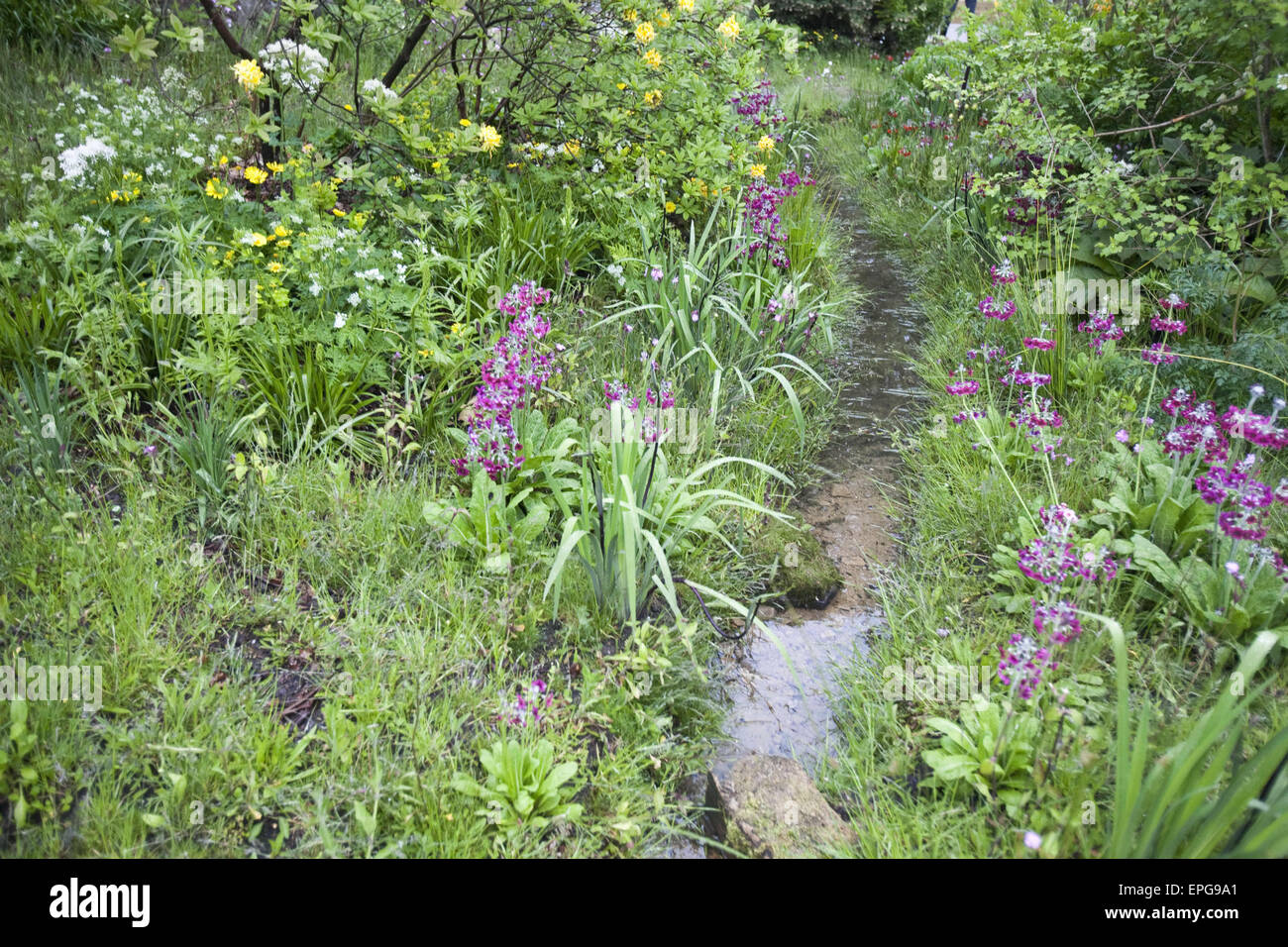 London, UK. 18. Mai 2015. '' Der Laurent-Perrier Chatsworth Garden'' von Dan Pearson schafft eine schöne Darstellung der eine naturalistische Chatsworth nahe Chelsea Flower Show organisiert von Royal Horticultural Society (RHS) auf dem Gelände des Royal Hospital Chelsea jedes Jahr im Mai, ist die berühmteste Flower Show im Vereinigten Königreich, vielleicht in der Welt. Es lockt Aussteller und Besucher aus der ganzen Welt, London, UK. Bildnachweis: Veronika Lukasova/ZUMA Draht/Alamy Live-Nachrichten Stockfoto