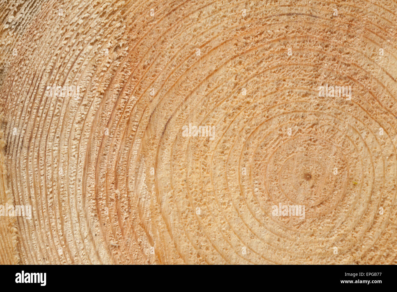 Woodgrain Stockfoto