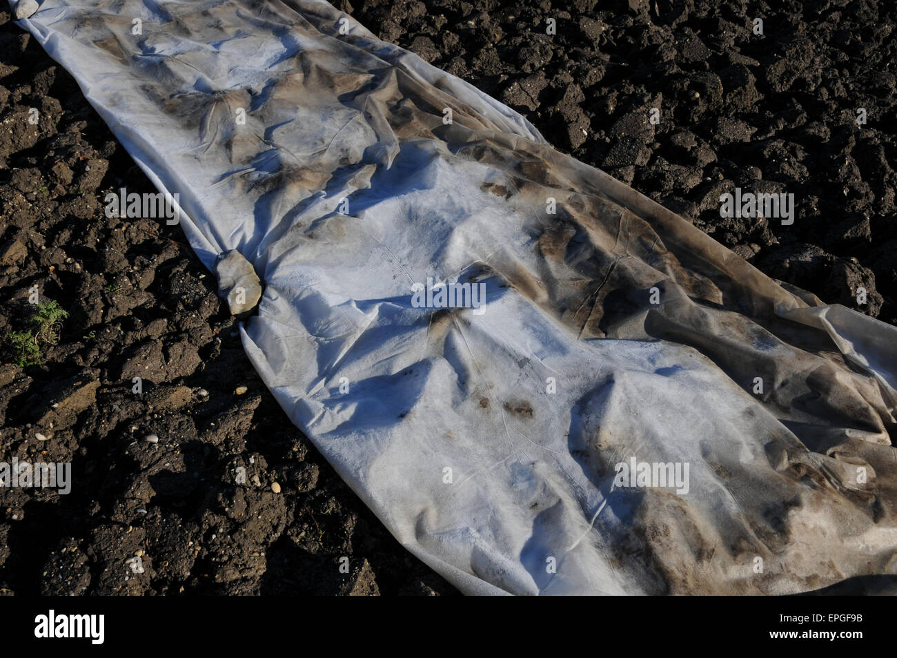 Garten Vlies Stockfoto Bild 82727159 Alamy