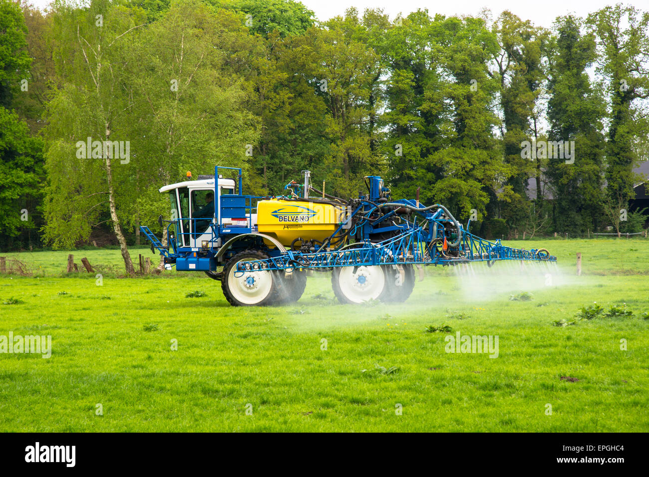 Landwirt mit Traktor sprüht Dünger auf seinem Gebiet Stockfoto