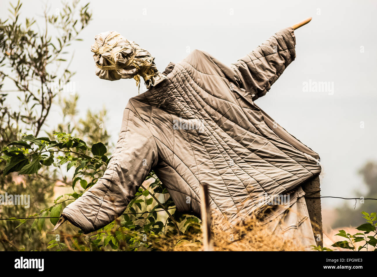 Sizilien A Vogelscheuche Sizilien Kampagne. Stockfoto