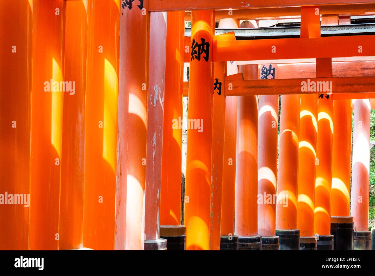 Japan, Kyoto, Fushimi Inari-Taisha-Schrein. Korridor von vermillion torii Tore auf dem Berg Inari mit der Sonne Streuung Muster auf den Säulen. Stockfoto