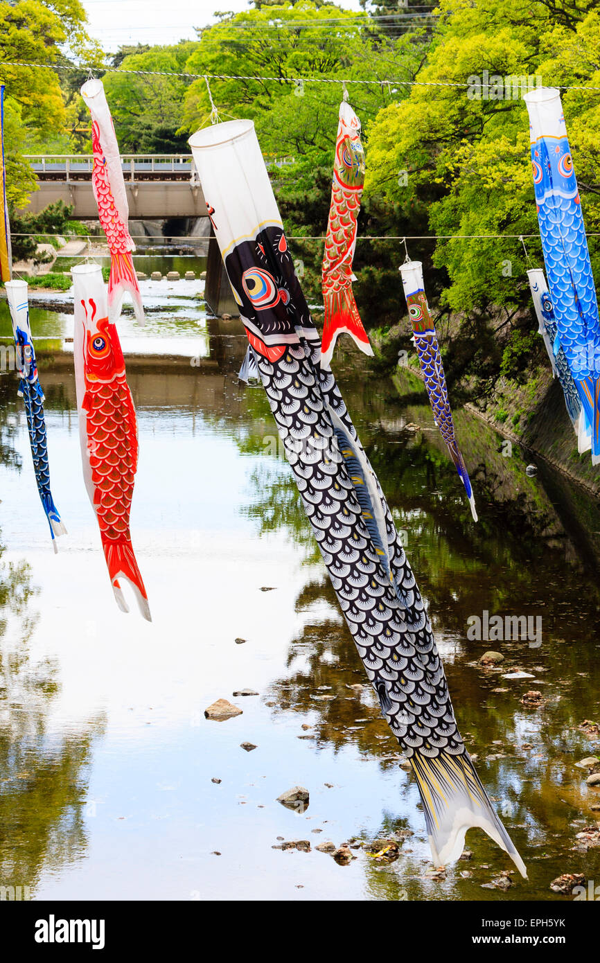 Koinobori Karpfenbanner, Windsocken, die über einem Fluss bei Kobe in Japan hängen. Geflogen, um Tango no sekku für den Kindertag zu feiern, Kodomo no Hi, am 5. Mai. Stockfoto