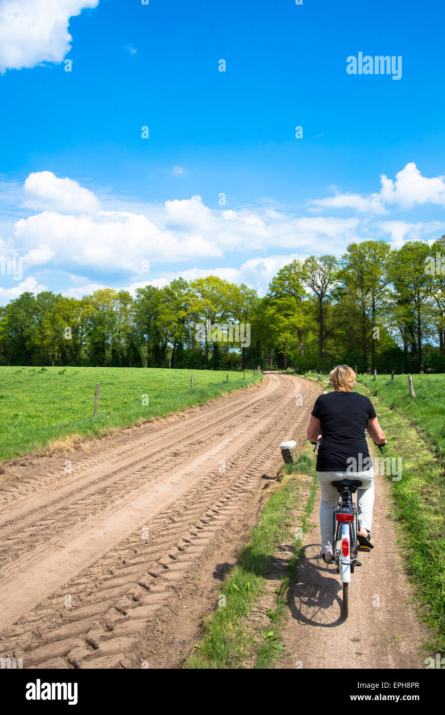 Frau auf Fahrrad am Feldweg in den Niederlanden Stockfoto
