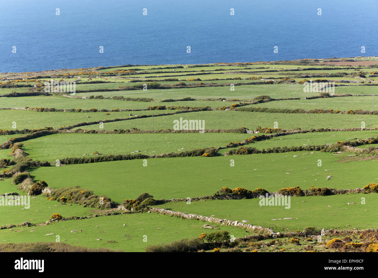 Aerial Landschaftsansicht der kornischen Küste zeigt ein Patchwork von Feldern mit Trockenmauern Wand Kanten Stockfoto