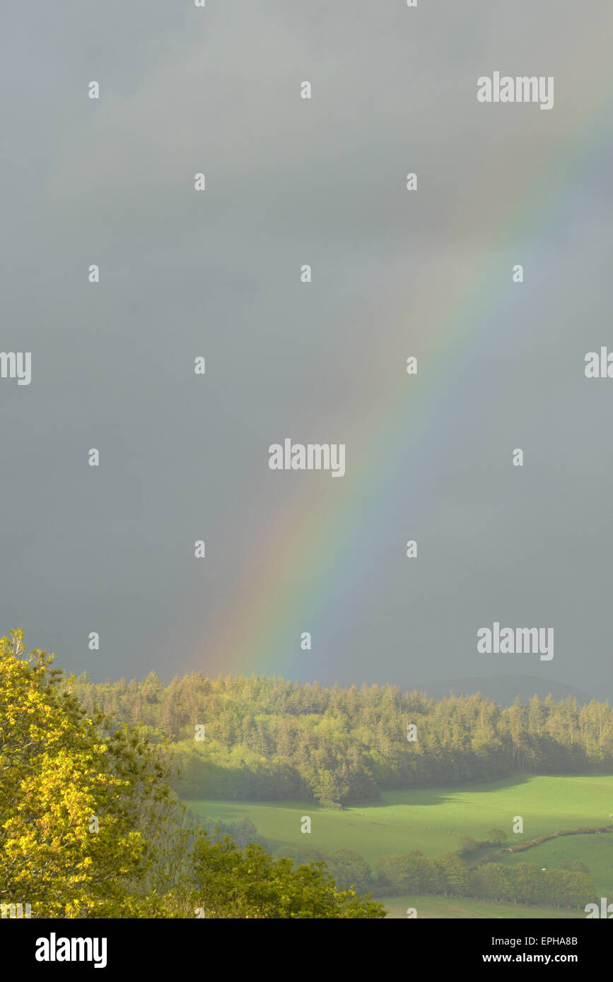Aberystwyth, Wales, UK. 18. Mai 2015. Abendlicht und fallenden Regen erzeugt einen Regenbogen über die Cambrian Mountains in der Nähe von Credit: John Gilbey/Alamy Live News Stockfoto
